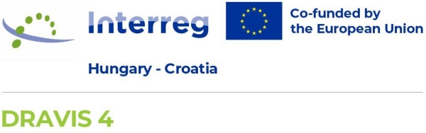 DRAVIS4 official logo 1