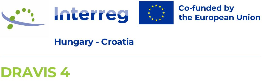 DRAVIS4 official logo