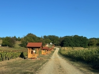 Najava: Duhovna priprema i svečani blagoslov kompleksa “Podravski Jeruzalem” u</div>...							</div>
											</li>
																													<li>
													<h3 class=
