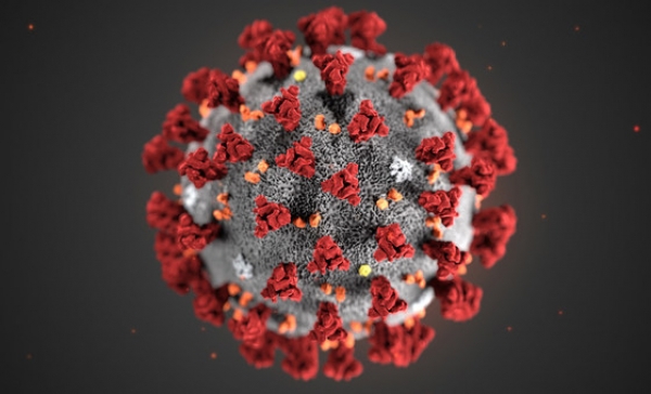 Na području županije zabilježena dva nova slučaja zaraze koronavirusom