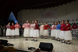 Župan Golubić i zamjenik Rajn na otvorenju festivala „Kaj su jeli naši stari“ u Vrbovcu