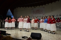 Župan Golubić i zamjenik Rajn na otvorenju festivala „Kaj su jeli naši stari“ u</div>...							</div>
											</li>
																													<li>
													<h3 class=