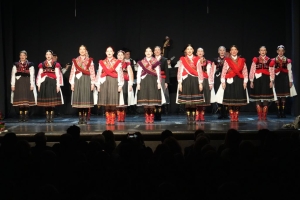 Tradicionalni Ligin koncert oduševio publiku u Domoljubu
