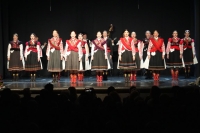 Tradicionalni Ligin koncert oduševio publiku u Domoljubu