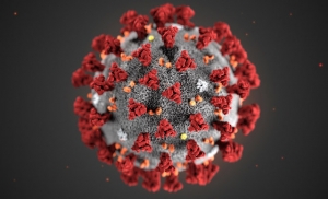 Na području županije potvrđena četiri nova slučaja zaraze koronavirusom