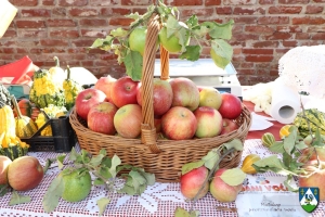 Najava - 27. Dani voća Koprivničko-križevačke županije