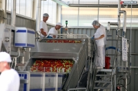 Otvoren novi Podravkin pogon za preradu rajčice u Varaždinu