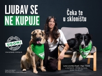 Ljubav se ne kupuje - čeka te u skloništu